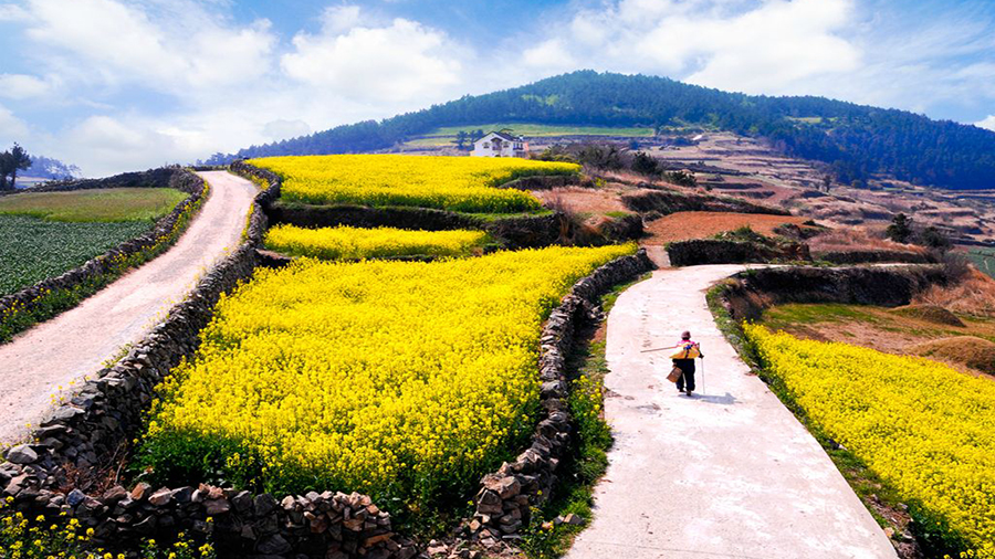 Vé máy bay từ Sài Gòn đi Hàn Quốc
