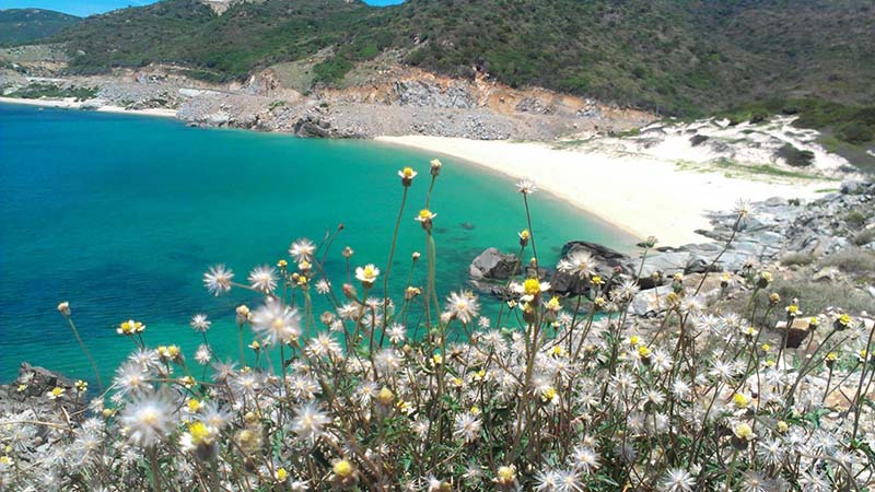 Bán vé máy bay Vietnam Airlines từ Pleiku đi Đà Nẵng