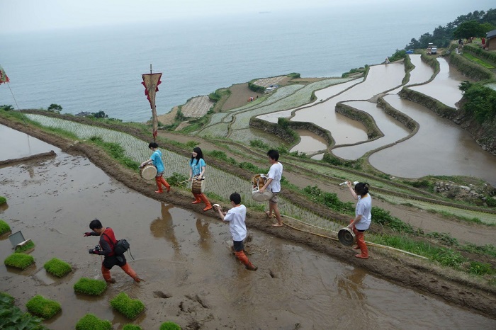 Vé máy bay đi Hàn Quốc tháng 12 5