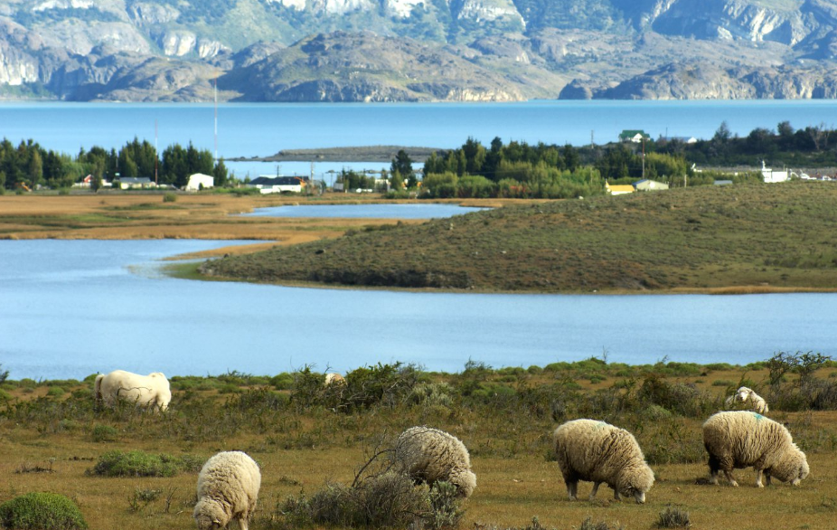 Vé máy bay Hà Nội đi El Calafate, Argentina