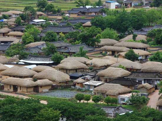 Vé máy bay Hà Nội đi Jeju tháng 3 2