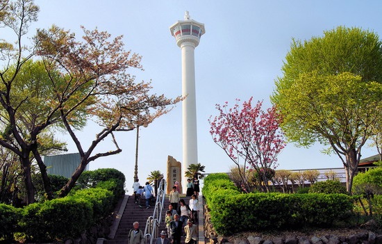 Săn vé máy bay Vinh đi Busan, nhận nhiều trải nghiệm thích thú